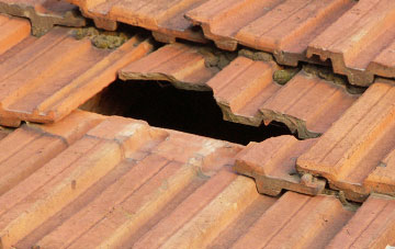 roof repair Woolston Green, Devon